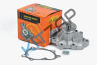 ����� ������� (�����) Deer, Wingle "Jd"