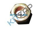 ����� ���� ����������