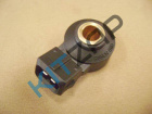 ������ ���������
